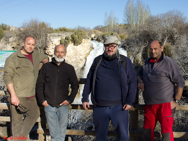 Algunos participantes de peso (otros no tanto)