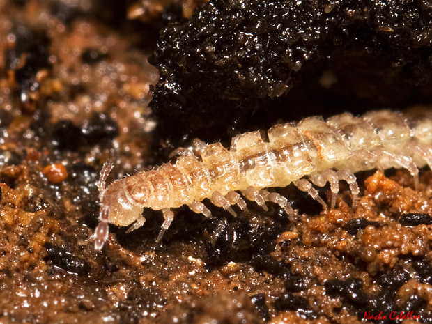 II Testing Subterráneo. Cueva de Montesinos. Lagunas de Ruidera.