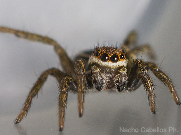 Puertollano. Octubre 2015.