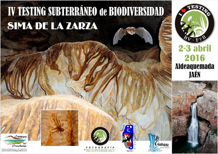 TESTING-SUB-2016_SIMA-DE-LA-ZARZA