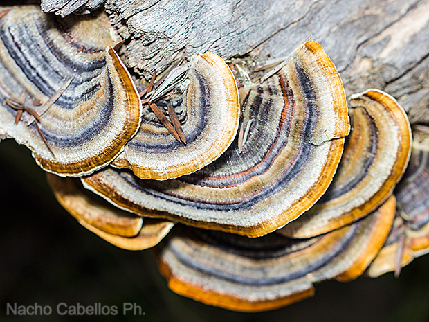 Aldeaquemada. Abril 2016.