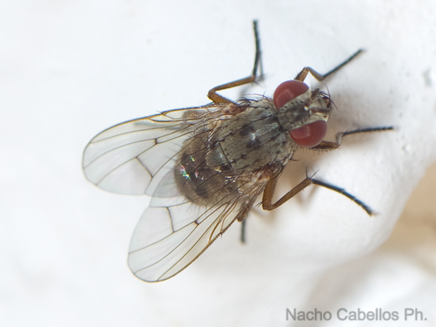 Las Virtudes. Septiembre 2013.