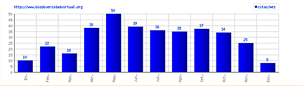 Thyene imperialis 2016